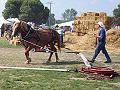 Horse powered corn grinder
