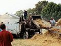 steam powered threshing