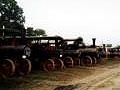 lots of Traction Engines