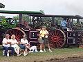 lots of traction engines