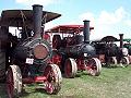 lots of traction engines
