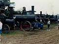 lots of Traction Engines