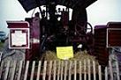 eagle lays egg on traction engine